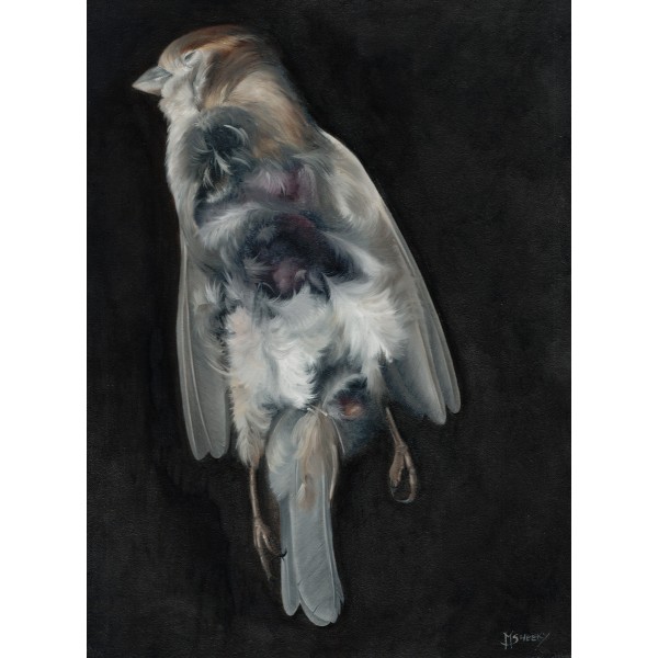 Dead Bird by Mark Sheeky