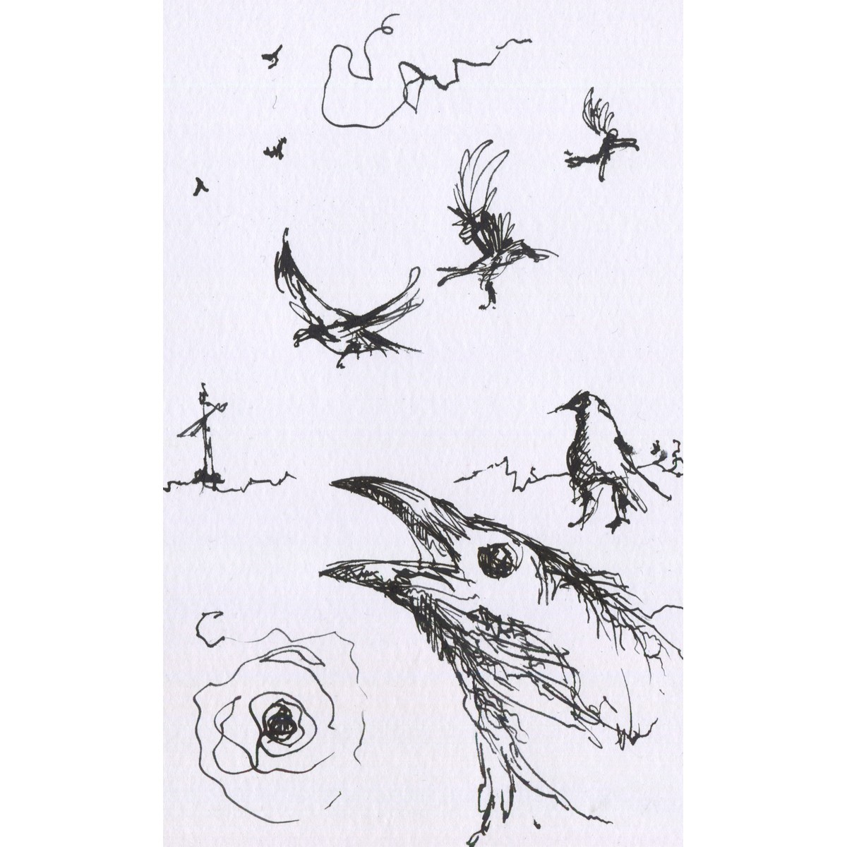 Crowster by Mark Sheeky