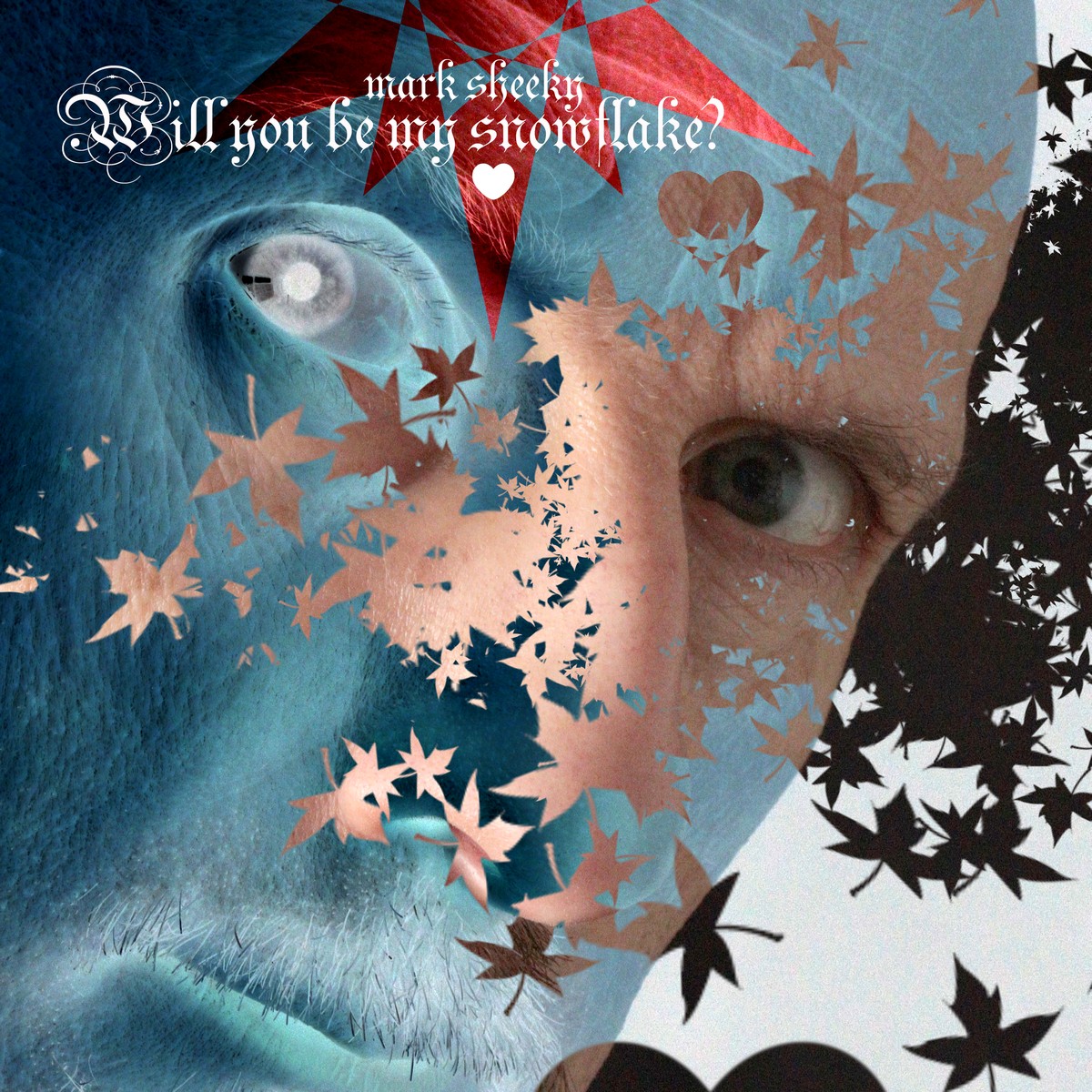 Will You Be My Snowflake? by Mark Sheeky