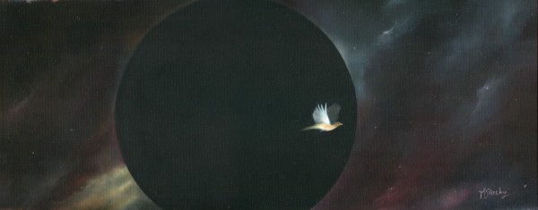 Bird Orbiting A Black Hole by Mark Sheeky