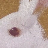 Detail from White Rabbit by Mark Sheeky