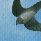 Detail from The Flight of the Swift: So Many Swifts by Mark Sheeky